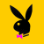 Rabbits icon graphics