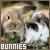 Rabbits icon graphics