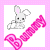 Rabbits icon graphics
