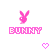 Rabbits icon graphics