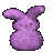 Rabbits icon graphics