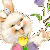 Rabbits icon graphics