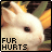 Rabbits icon graphics