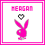 Rabbits icon graphics
