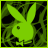 Rabbits icon graphics