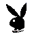 Rabbits icon graphics