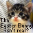 Rabbits icon graphics