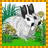 Rabbits icon graphics