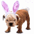 Rabbits icon graphics