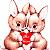 Rabbits icon graphics