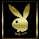 Rabbits icon graphics