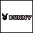 Rabbits icon graphics
