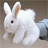 Rabbits icon graphics