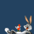 Rabbits icon graphics