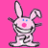 Rabbits icon graphics