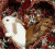 Rabbits icon graphics