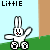 Rabbits icon graphics