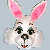 Rabbits icon graphics