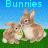 Rabbits icon graphics