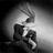 Rabbits icon graphics