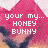 Rabbits icon graphics