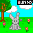 Rabbits icon graphics