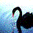 Swans icon graphics