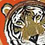 Tigers icon graphics