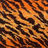 Tigers