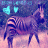 Zebra icon graphics