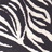 Zebra icon graphics