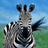 Zebra icon graphics