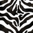 Zebra icon graphics