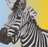 Zebra icon graphics