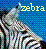 Zebra icon graphics
