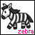 Zebra icon graphics