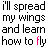Kelly clarkson icon graphics