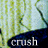 Paramore icon graphics