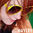 Paramore icon graphics