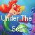 Ariel
