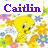 Tweety icon graphics