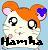 Hamtaro