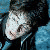 Harry potter icon graphics