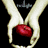 Twilight icon graphics