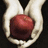 Twilight icon graphics