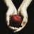 Twilight icon graphics