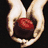 Twilight icon graphics