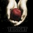 Twilight icon graphics