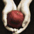 Twilight icon graphics