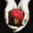 Twilight icon graphics